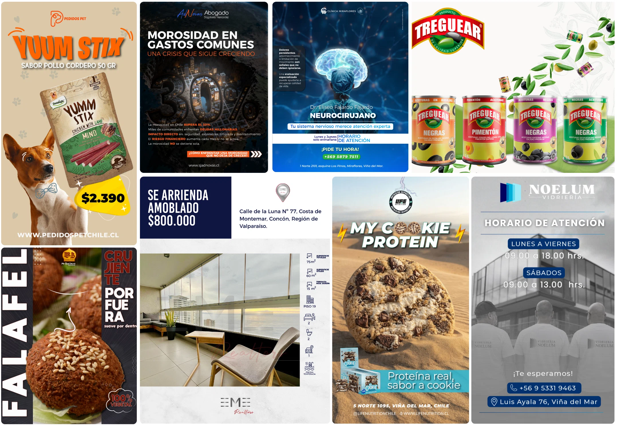Portafolio de diseño gráfico y videos corporativos desarrollado por Activa Agencia Digital en Chile
